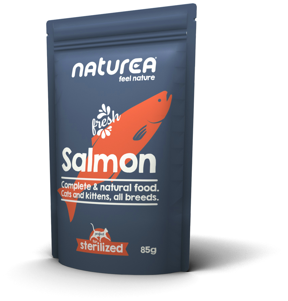 [WEC04] Wet Food Cat Salmon pouch