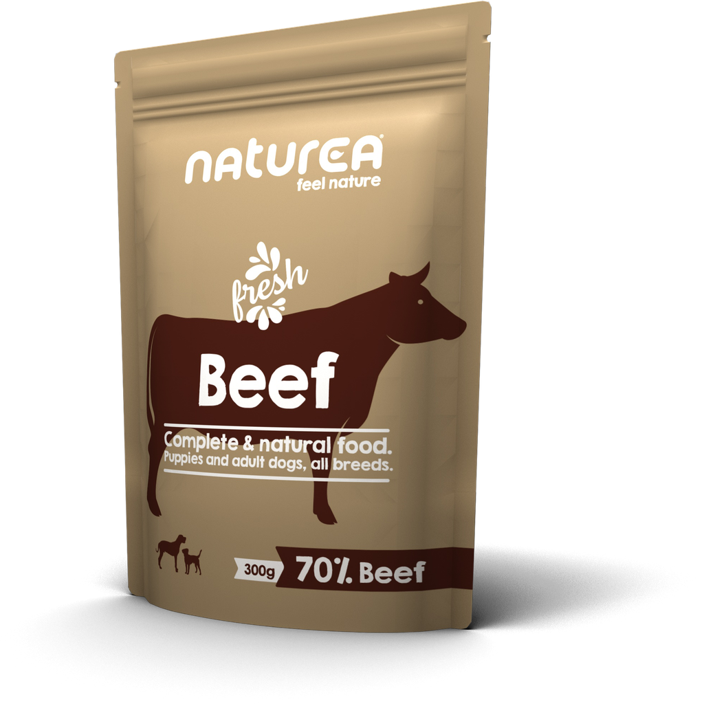 [WED02] Wet Food Dog Beef pouch