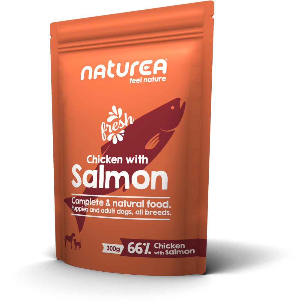 [WED03] Wet Food Dog Chicken with Salmon pouch